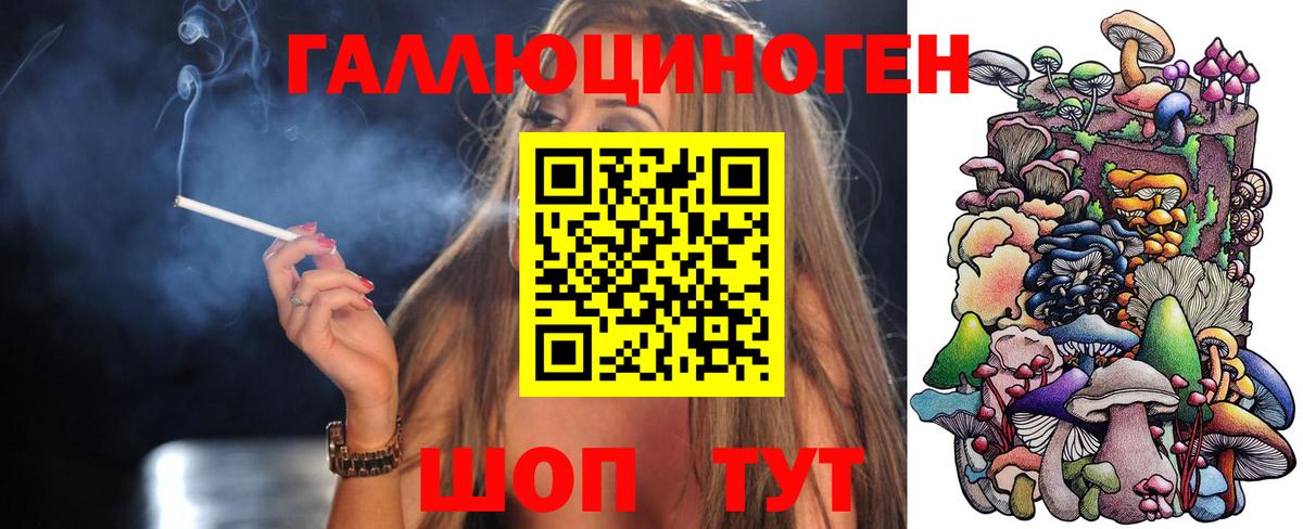 Псилоцибиновые грибы Psilocybine cubensis Чайковский