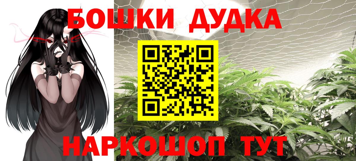 МАРИХУАНА семена Чайковский